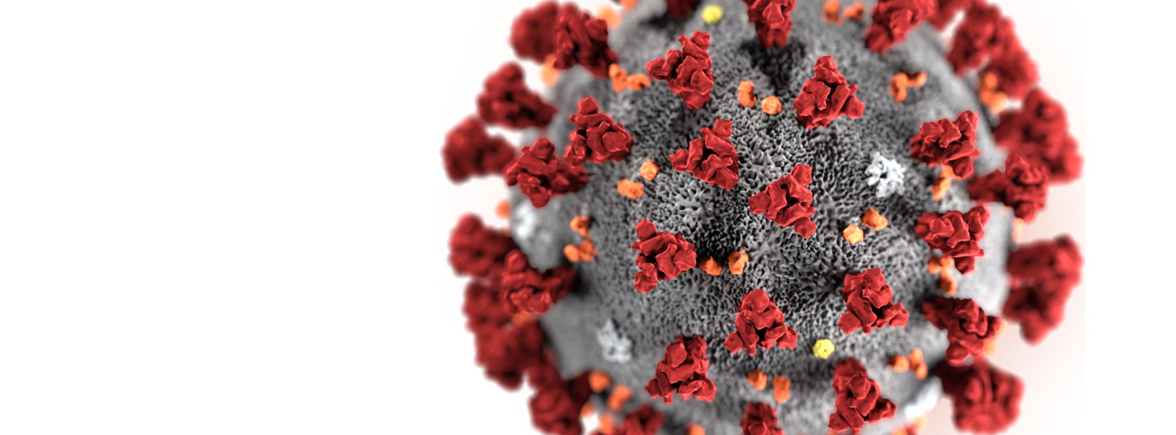 3D Darstellung Corona Virus Covid19 SARS CoV-2